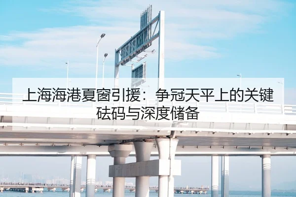 上海海港夏窗引援：争冠天平上的关键砝码与深度储备