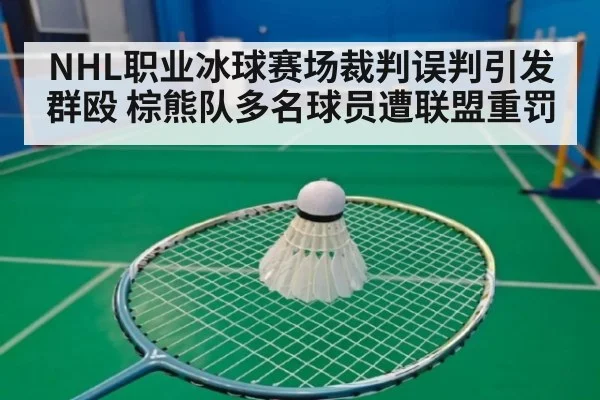 NHL职业冰球赛场裁判误判引发群殴 棕熊队多名球员遭联盟重罚